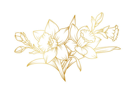 Narcissus lily flowers line art isolated on white background. Luxury daffodil floral golden design elements for invitation, wedding, wallpaper, print template, vector illustration.のイラスト素材