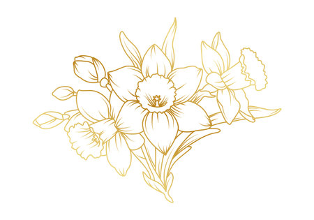 Narcissus lily flowers line art isolated on white background. Luxury daffodil floral golden design elements for invitation, wedding, wallpaper, print template, vector illustration.のイラスト素材