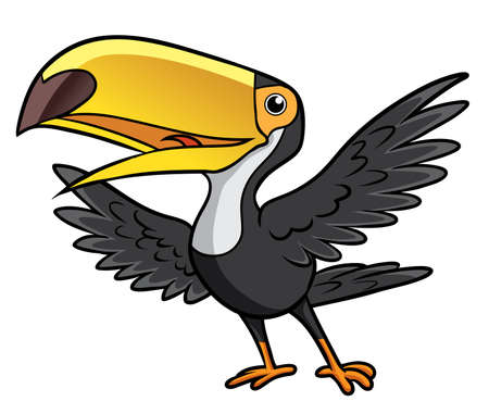 toucan birdのイラスト素材