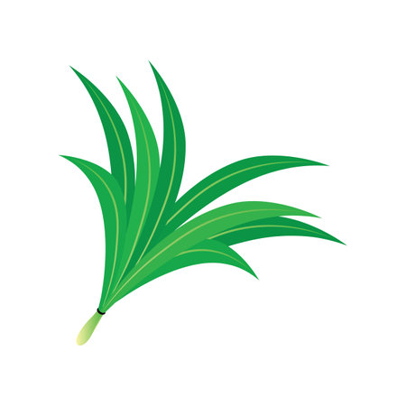 Pandan leaf illustration icon templateのイラスト素材