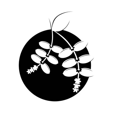 Gnetum gnemon melinjo icon logo template illustration vectorのイラスト素材