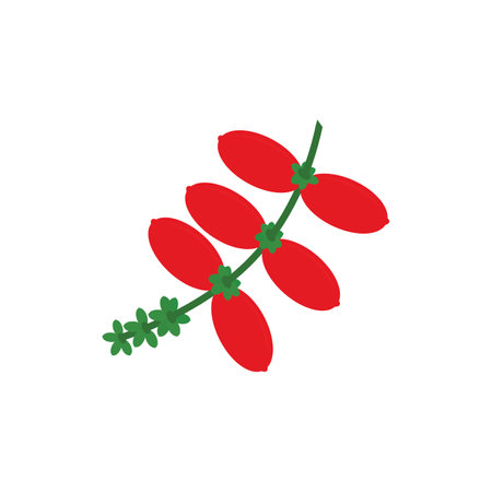 Gnetum gnemon melinjo icon logo template illustration vectorのイラスト素材