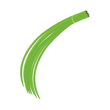 Long bean icon template illustration vectorのイラスト素材