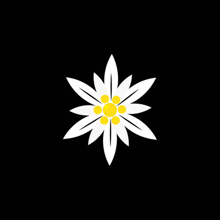 Edelweiss flower icon template illustration vectorのイラスト素材