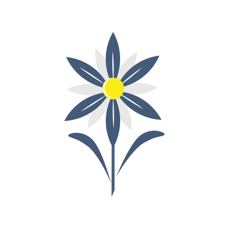 Edelweiss flower icon template illustration vectorのイラスト素材