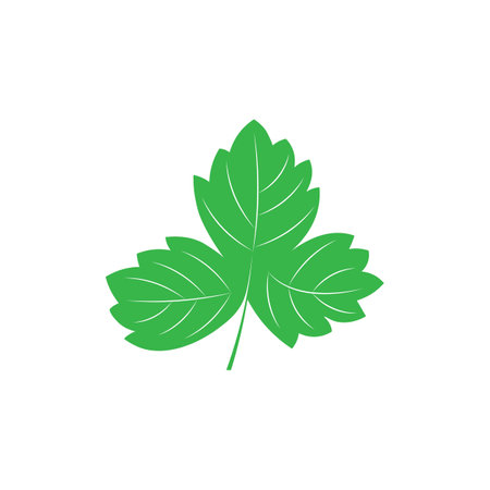 Parsley leaf icon template vectorのイラスト素材