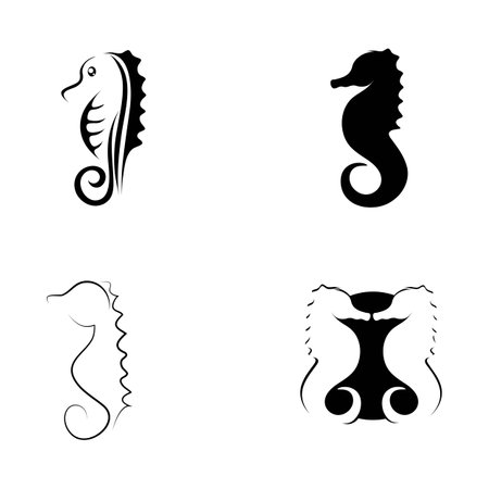 Set of Sea horse logo template vectorのイラスト素材