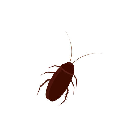 Cockroach icon template vector design
