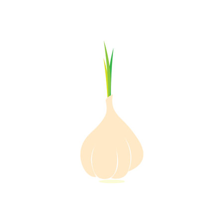 Garlic icon logo vector  designのイラスト素材