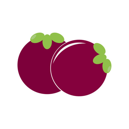 Mangosteen fruit icon logo vector designのイラスト素材