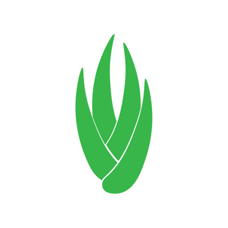 aloevera illustration logo vector designのイラスト素材