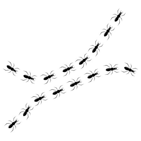 black and white ant logo vectorのイラスト素材