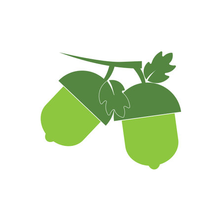 acorn, oak leaf illustration logo vectorのイラスト素材