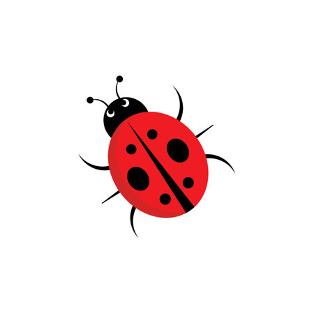 ladybug illustration icon logo vector designのイラスト素材