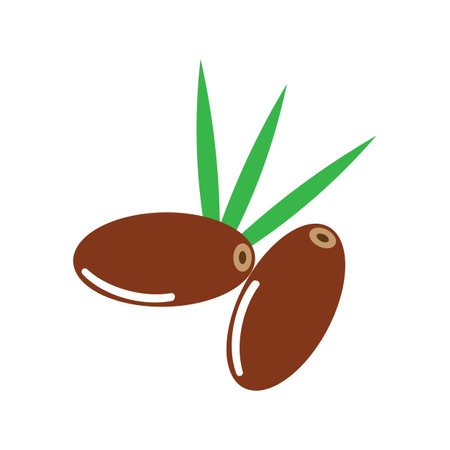 dates fruit illustration logo  vector designのイラスト素材
