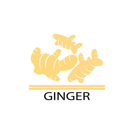 ginger illustration logo vector designのイラスト素材