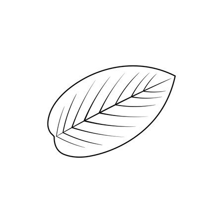 Guava leaf vector image designのイラスト素材