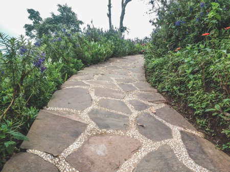 Beautiful stone walk path in nature with flowers all side at Kai Santi Hills, Tomohon, Indonesiaの写真素材