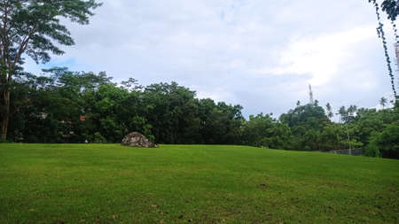 Grass beautiful landscape with boulder rock sitting alone in front of trees and a cloudy sky at Manado, Indonesiaの写真素材