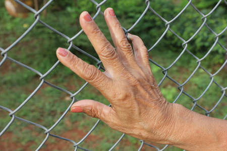 hand