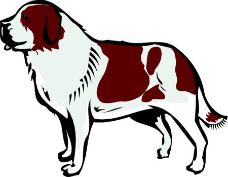 Cute Saint Bernard Dog cartoon hand-drawn pet animals comic vector illustration.のイラスト素材