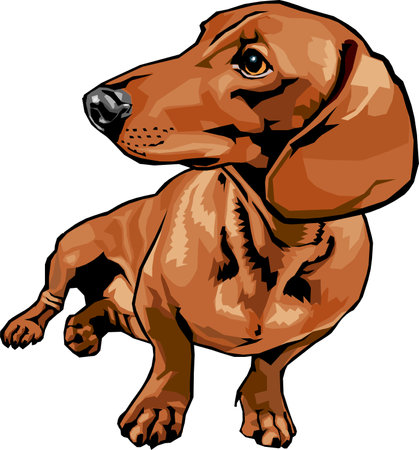 Cute Purebred Dachshund Dog cartoon hand-drawn pet animals comic vector illustration.のイラスト素材