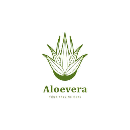 aloe vera plant logo icon outline styleのイラスト素材