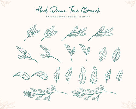Hand drawn doodle leaves and branches set. Vector illustration.のイラスト素材