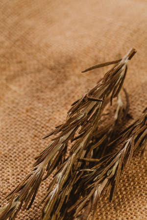 dried rosemary leaves spice on sacking close-up.の写真素材