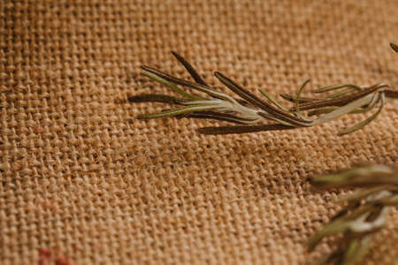 dried rosemary leaves spice on sacking close-up.の写真素材
