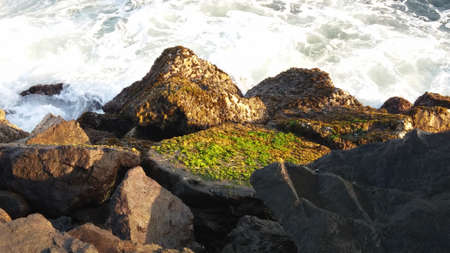 wavesの写真素材