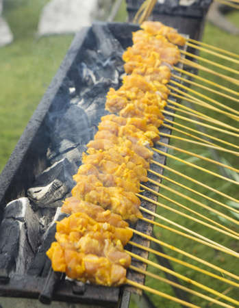 Malaysian satay skewer street foodの写真素材