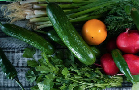 Radish, cucumber, tomato and various greens