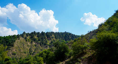 Mountains and blue sky, bushes