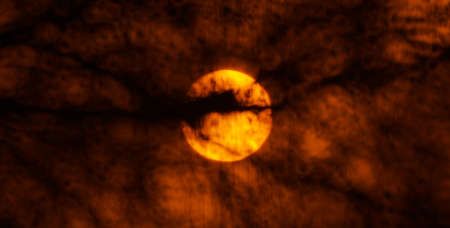 The main focus is on abstract boke photography, boke photography of sun tree branchesの写真素材