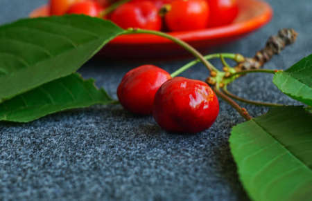 with red cherry fruit leavesの写真素材