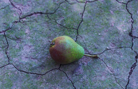 blue pearl lying on the groundの写真素材