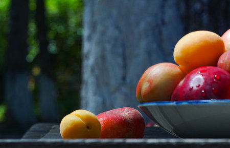 All kinds of fruits in Lagantの写真素材