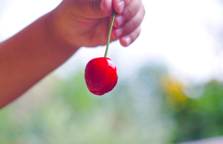 a red cherry in a human hand, a piece of cherry