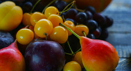 Various fruits, summer fruits on the tableの写真素材