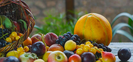 Various fruits, summer fruits on the tableの写真素材