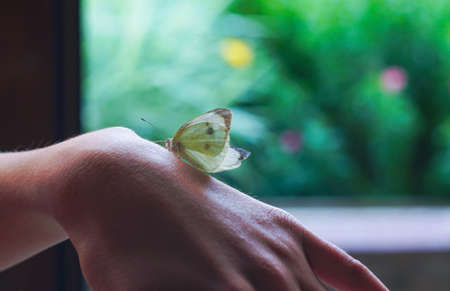 A girl has white butterflies in her hands