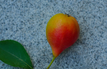 Red and yellow pearlsの写真素材