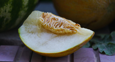 Yellow melon and watermelon are on the groundの写真素材