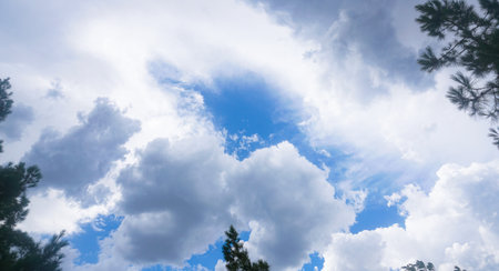 Blue sky, white clouds and tree branches