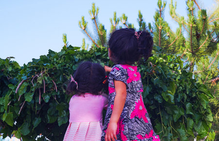 The girls are eating mulberries in front of themの写真素材