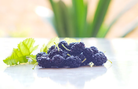 Red mulberry fruit on white table