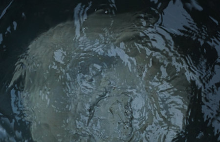 A drop of water is splashing, water texture
