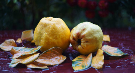 quince and leaves on the table, a drop of water on the fruit
