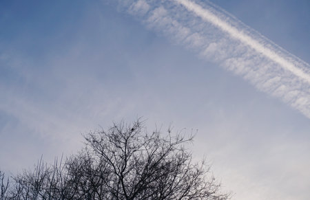 A long line of clouds with an airplane trail in the skyの写真素材